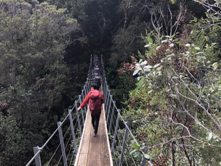 Student crossing swing bridge -The Pinnacles - Bronze Adventurous Journey NZ