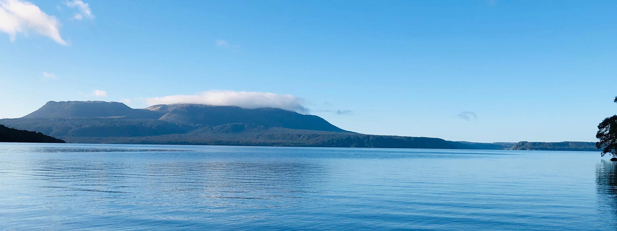 Lake Tarawera Guided Walks - Escape AJ Guided Walks, Hiking & Tramps Rotorua