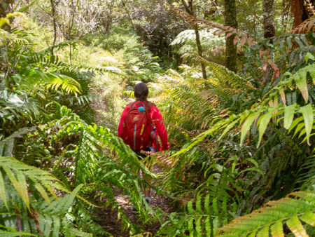 Lake Tarawera guided walks rotorua escape adventurous journeys