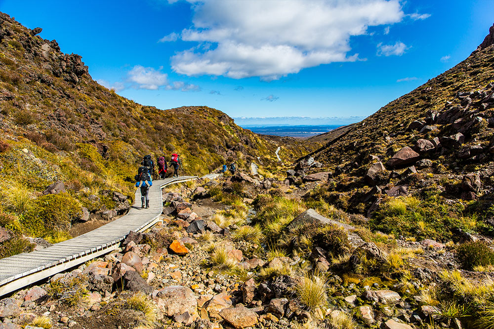 Tongariro National Park Guided Hikes and Outdoor Escapes